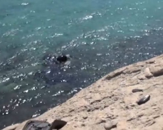 Αυτοκίνητο έκανε βουτιά σε γκρεμό - Ανασύρθηκε νεκρός ένας άνδρας