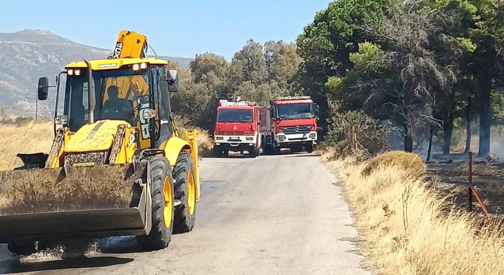 ΚΑΡΥΣΤΟΣ: Υπό πλήρη έλεγχο η φωτιά
