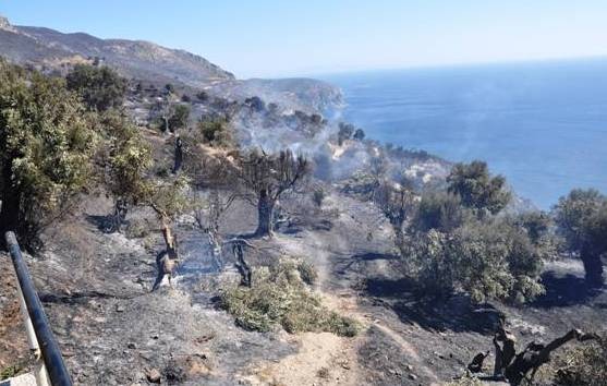 Πόσα λεφτά πήρε η Εύβοια από το Ταμείο Μολυβιάτη για τις πυρόπληκτες περιοχές
