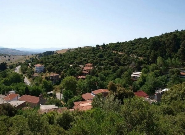 ΚΑΛΛΙΘΕΑ-ΓΥΜΝΟ-ΣΕΤΑ: Αποδράστε στη φύση του Δήμου Ερέτριας