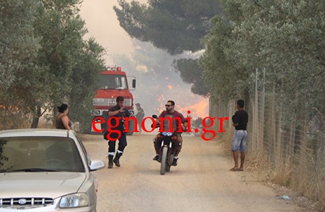 ΠΥΡΚΑΓΙΑ ΑΜΕΛΑΝΤΕΣ ΒΟΡΕΙΑ ΕΥΒΟΙΑ: Έχει κάψει 25 στρέμματα