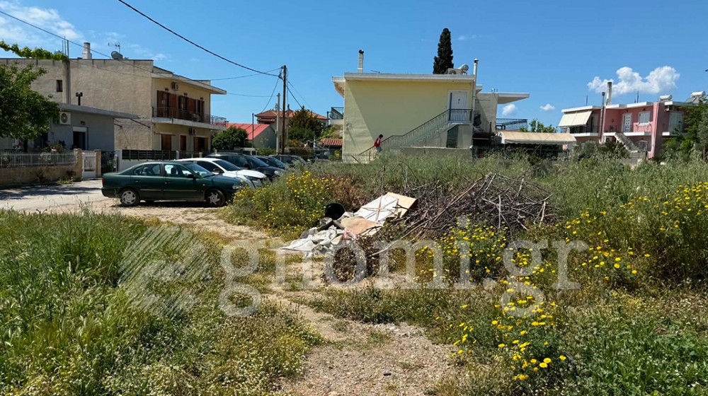 ΔΥΟ ΔΕΝΤΡΑ-ΧΑΛΚΙΔΑ: Μικρή ζούγκλα η οδός Οικονομίδη (ΦΩΤΟ)