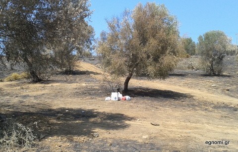 Παράτησαν τα σκουπίδια στην καμένη γη
