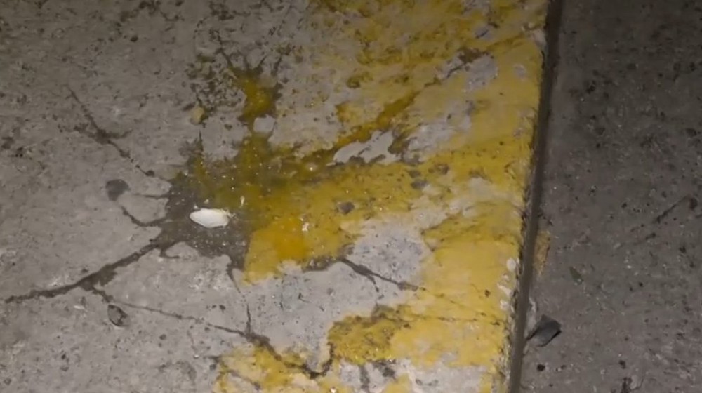Κασσελάκης: Αγνωστοι πέταξαν αβγά έξω από τα γραφεία του στον Ταύρο
