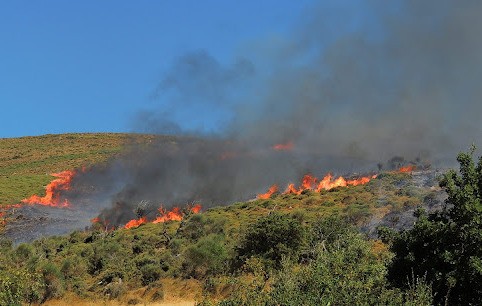 ΕΥΒΟΙΑ: Άρπαξαν φωτιές μέσα στο χειμώνα σε Κριεζά, Μανίκια και Αετό Καρυστίας