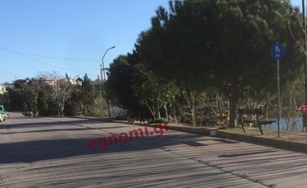 ΒΟΥΡΚΟΣ ΧΑΛΚΙΔΑ: Τρόμος τα αδέσποτα εν μέσω κορωνοϊού