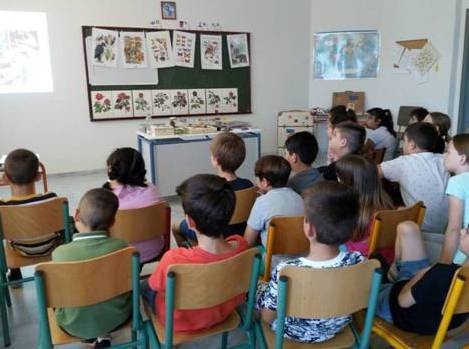 Η Περιφέρεια Στερεάς Ελλάδας έφερε το μουσείο στο σχολείο