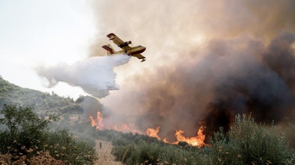 ΦΩΤΙΑ ΣΤΗ ΣΚΥΡΟ: Επιχειρούν 4 αεροσκάφη και ενισχύονται οι δυνάμεις – Πυροσβεστικά οχήματα στο λιμάνι της Κύμης