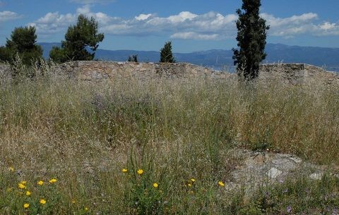 Τα αγριόχορτα ...εξαφάνισαν τις πολεμίστρες στο Φρούριο της Κανήθου