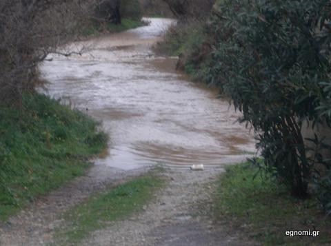 Ζάρακες: Κολυμπάει για να βγει από το σπίτι της!