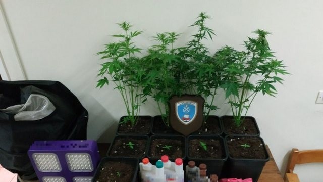 Είχε κάνει το σπίτι του εργαστήρι κάνναβης