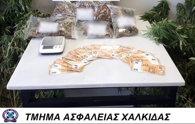 ΝΟΤΙΑ ΕΥΒΟΙΑ: Συνελήφθη ζευγάρι για καλλιέργεια, κατοχή και πώληση ναρκωτικών (φωτό)