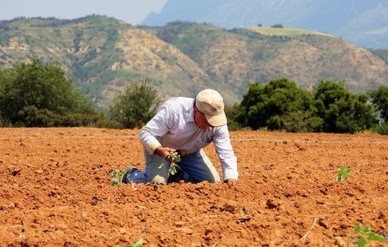 «Στον αέρα» η εφαρμογή του Προγράμματος Αγροτικής Ανάπτυξης
