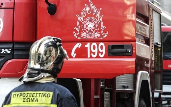 ΘΕΟΛΟΓΟΣ ΕΥΒΟΙΑΣ: Συνελήφθη μια γυναίκα για εμπρησμό σε γεωργική έκταση