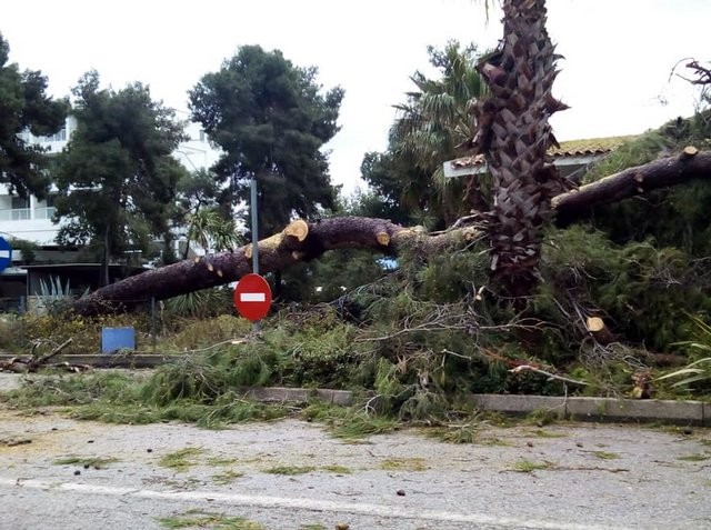 ΕΥΒΟΙΑ: Προβλήματα από την κακοκαιρία σε Ιστιαία, Κύμη και Μαντούδι