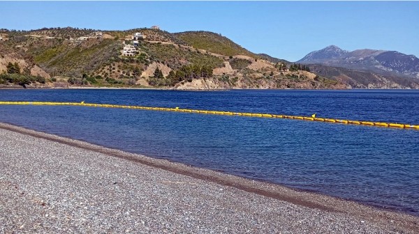 ΕΥΒΟΙΑ: Καταγγελία για μέδουσες στο Κοχύλι παρά τo πλωτό φράγμα