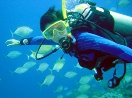 Βούλιαξε η ίδρυση καταδυτικού πάρκου στην Κάρυστο