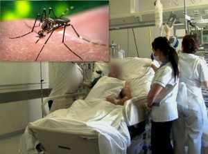 ΕΟΔΥ: 39 κρούσματα από τον ιό του Δυτικού Νείλου την τελευταία εβδομάδα