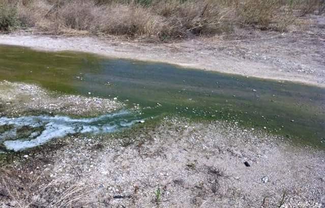 Συνάντηση στην Περιφερειακή Ενότητα Εύβοιας για τον Βιολογικό Καθαρισμό Μονοδρίου