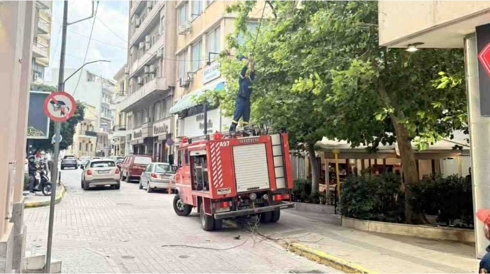 ΧΑΛΚΙΔΑ: Παρέμβαση της Πυροσβεστικής για δέντρο που ακούμπησε σε καλώδια ρεύματος