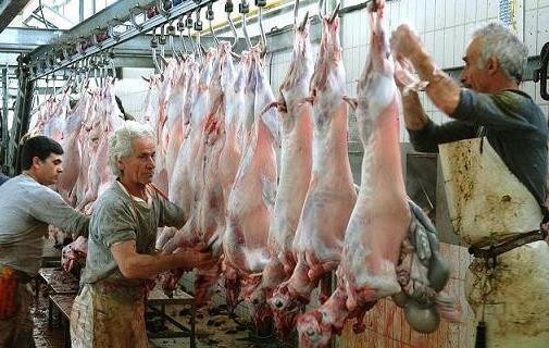 Σύγχρονα σφαγεία στη Βόρεια Εύβοια