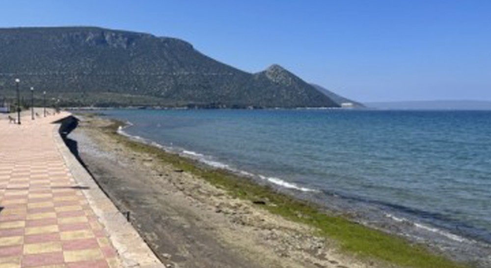 ΠΑΡΑΛΙΑ ΛΟΥΚΙΣΙΩΝ: Δενδροφύτευση οργανώνει ο σύλλογος