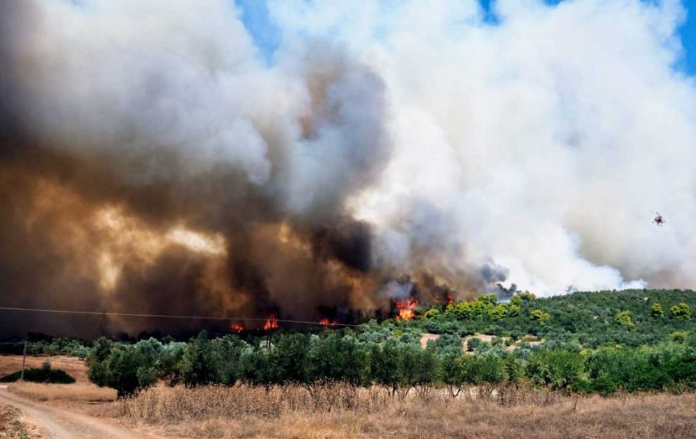 ΦΩΤΙΑ ΨΑΧΝΑ: Συνεχίζεται το θρίλερ - Καίγεται δάσος προς τον Πισσώνα