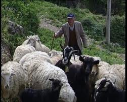 Εξαφανίστηκε 71χρονος βοσκός