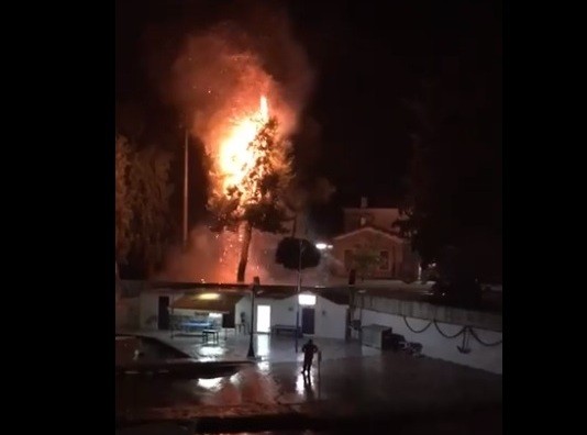 ΧΑΛΚΙΔΑ: Δέντρο άρπαξε φωτιά από κεραυνό στο σταθμό του ΟΣΕ