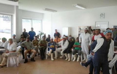 Απεργιακή κινητοποίηση στις πτηνοτροφικές επιχειρήσεις Λειβαδίτη-Ζούρου