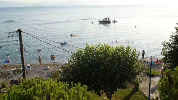 Επιστολή αγωνίας από τις Ροβιές για τις μέδουσες στον Ευβοϊκό κόλπο