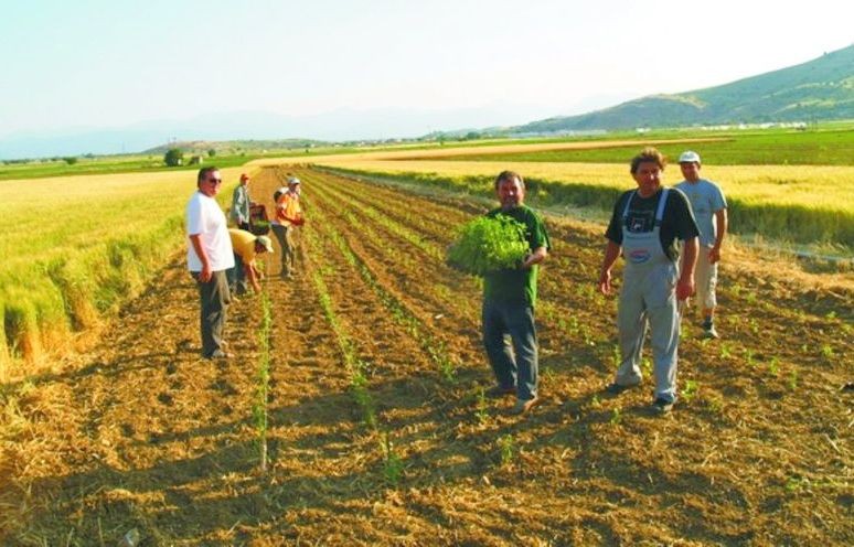 Έξτρα κονδύλια για νέους γεωργούς στην περιφέρεια Στερεάς Ελλάδας