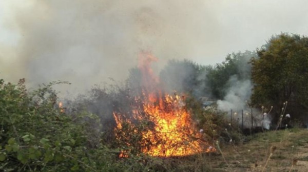 Φωτιά σε ξερά χόρτα στον Βατώντα