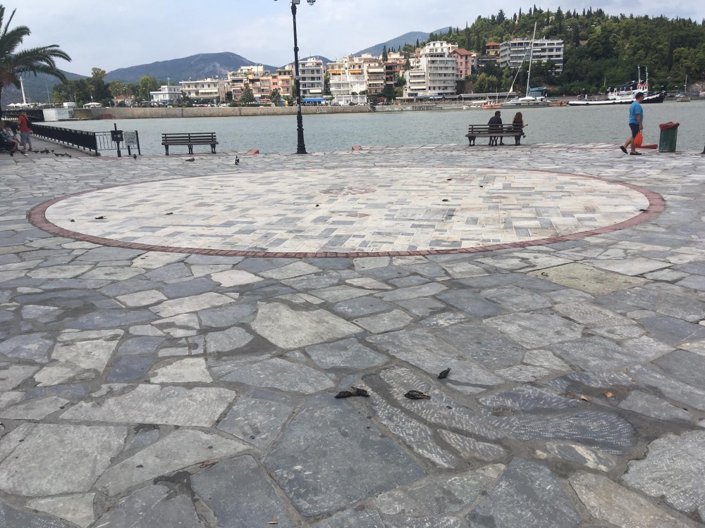 Γέμισε με νεκρά πουλιά η παραλία Χαλκίδας