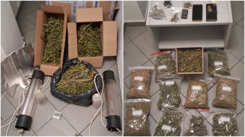 Εντοπίστηκε καλλιέργεια υδροπονικής κάνναβης σε σπίτι στη Χαλκίδα – Καθοριστική η συνδρομή αστυνομικού σκύλου