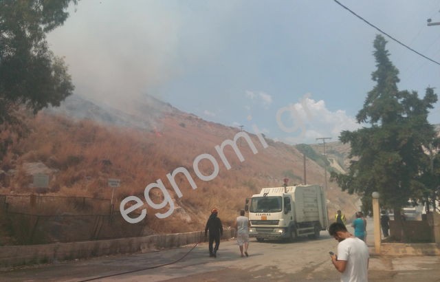 Χαλκίδα: Μεγάλη φωτιά στον Αγιο Στέφανο