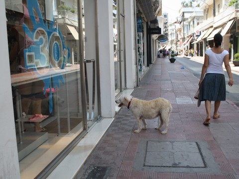 Ο ορισμός του μια εικόνα, χίλιες λέξεις