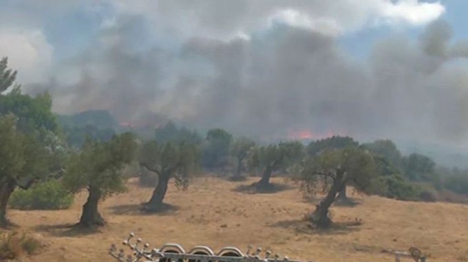 ΚΑΡΥΣΤΟΣ: Υπό έλεγχο η φωτιά στον Πλατανιστό