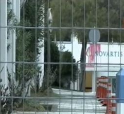 Επίθεση με βαριοπούλα και μπογιές στα γραφεία της Novartis