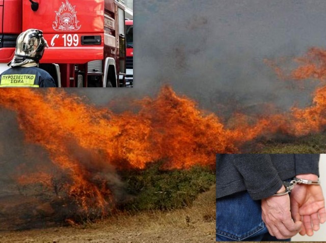 ΡΙΤΣΩΝΑ ΧΑΛΚΙΔΑΣ: Συνελήφθη ένας άντρας για πρόκληση εμπρησμού σε αγροτοδασική έκταση
