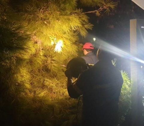 Δέντρο έπεσε σε καφετέρια - Η τέντα έσωσε τους θαμώνες