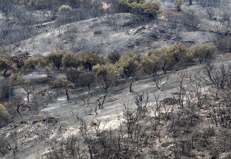 Οφείλονται λεφτά και στην Εύβοια από το Ταμείο Μολυβιάτη