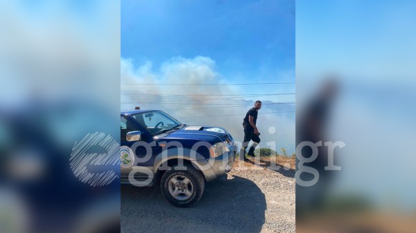 ΦΩΤΙΑ ΑΛΜΥΡΟΠΟΤΑΜΟΣ-ΜΕΣΟΧΩΡΙΑ: Εναέρια μέσα στη μάχη με τις φλόγες