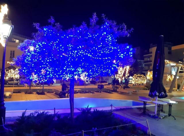 ΧΑΛΚΙΔΑ: Στόλισαν το δένδρο της Αγάπης και το φώτισαν με μπλε χρώμα