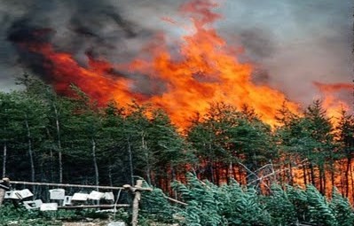 Σε πύρινο κλοιό η χώρα και υπάρχει αδυναμία πυρόσβεσης