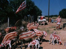 Θέλει να βγάλει γάλα ερυθρόλευκο