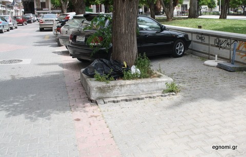 Βρήκαν θέση για τα σκουπίδια στη βάση του δένδρου