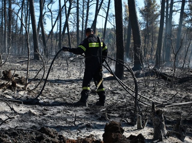 ΦΩΤΙΑ ΕΥΒΟΙΑ: Ακόμα σβήνουν εστίες μέσα στις καμένες εκτάσεις οι πυροσβέστες