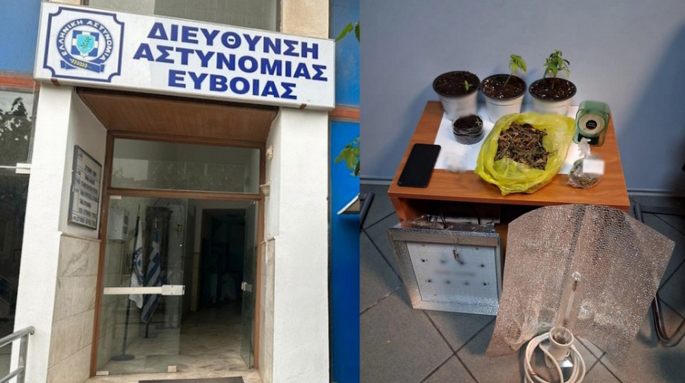 ΧΑΛΚΙΔΑ: Εντοπίστηκε εγκατάσταση υδροπονικής καλλιέργειας κάνναβης - Συνελήφθησαν δύο άτομα