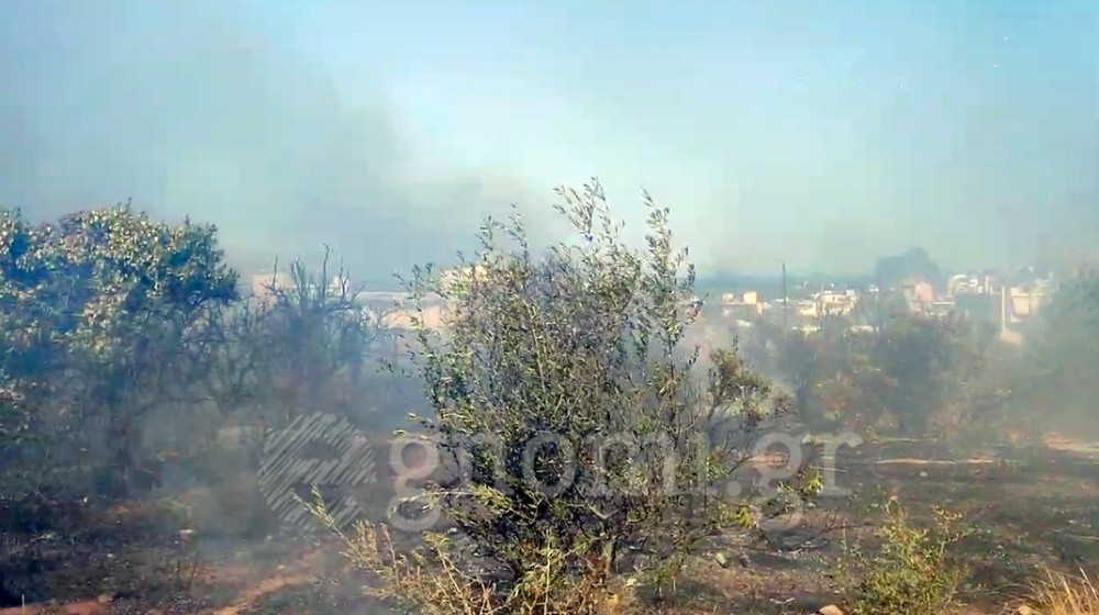 ΧΑΛΚΙΔΑ: Φωτιά στη Χαραυγή (VIDEO)
